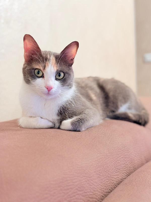 Penelope Dolce Micia 